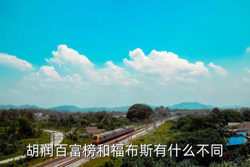 胡潤財(cái)富榜,財(cái)富榜與福布斯之別