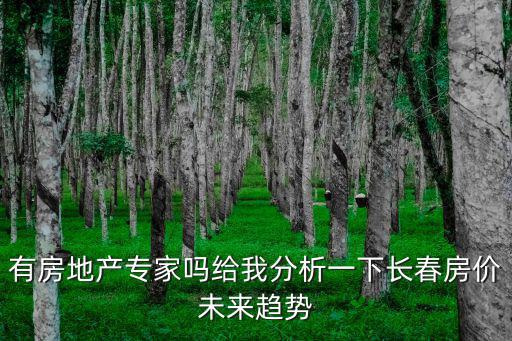 有房地產(chǎn)專家嗎給我分析一下長(zhǎng)春房?jī)r(jià)未來(lái)趨勢(shì)