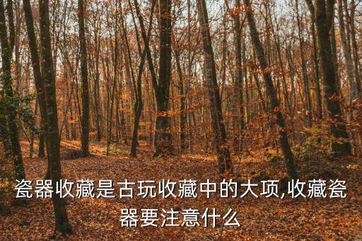瓷器收藏是古玩收藏中的大項,收藏瓷器要注意什么