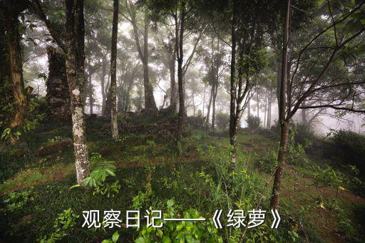 觀察日記——《綠蘿》