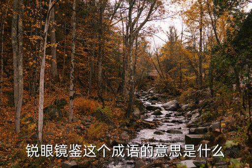 銳眼鏡鑒這個(gè)成語的意思是什么