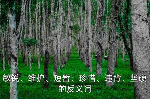 敏銳、維護(hù)、短暫、珍惜、違背、堅(jiān)硬的反義詞