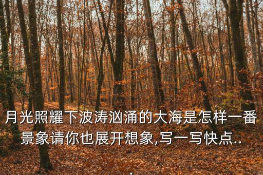 月光照耀下波濤洶涌的大海是怎樣一番景象請(qǐng)你也展開想象,寫一寫快點(diǎn)...