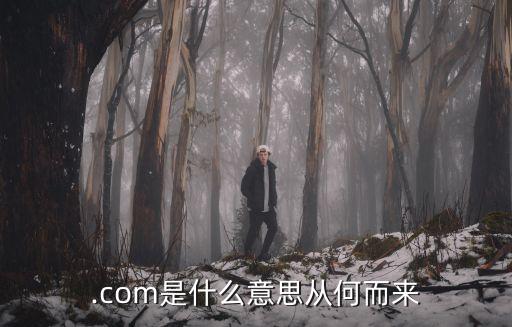 .com是什么意思從何而來(lái)