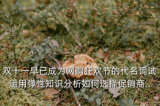 雙十一早已成為網購狂歡節的代名詞試運用彈性知識分析如何選擇促銷商...