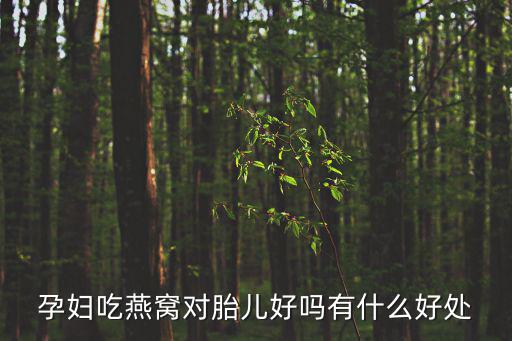 孕婦吃燕窩對胎兒好嗎有什么好處