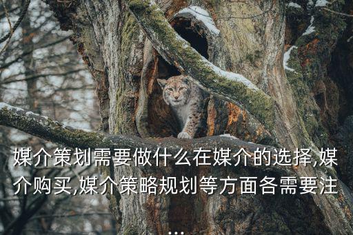 媒介策劃需要做什么在媒介的選擇,媒介購(gòu)買(mǎi),媒介策略規(guī)劃等方面各需要注...