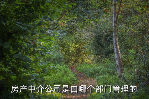 房產(chǎn)中介公司是由哪個部門管理的
