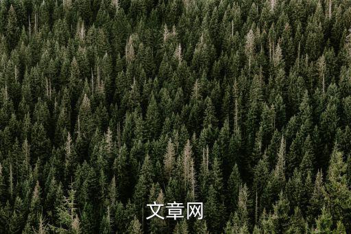文章博客，寫作博客