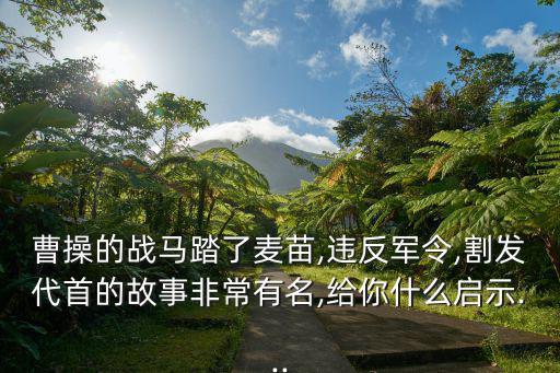 曹操的戰(zhàn)馬踏了麥苗,違反軍令,割發(fā)代首的故事非常有名,給你什么啟示...