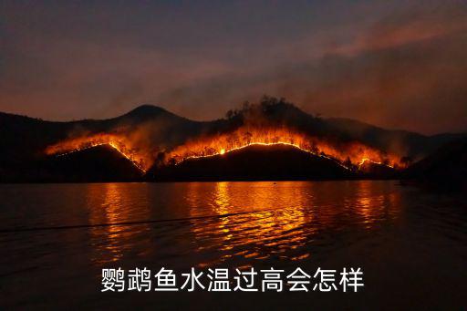 鸚鵡魚水溫過高會怎樣