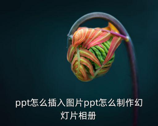 ppt怎么插入圖片ppt怎么制作幻燈片相冊(cè)