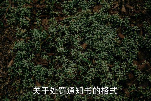 關(guān)于處罰通知書(shū)的格式