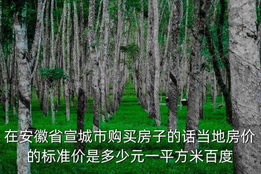 在安徽省宣城市購買房子的話當地房價的標準價是多少元一平方米百度