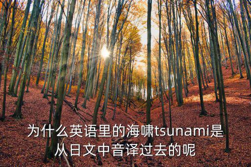為什么英語里的海嘯tsunami是從日文中音譯過去的呢
