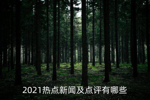 熱點新聞評論,2021年熱點新聞及點評有何不同?