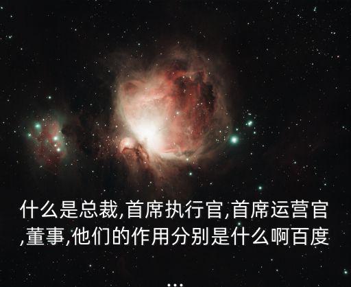 什么是總裁,首席執(zhí)行官,首席運(yùn)營官,董事,他們的作用分別是什么啊百度...