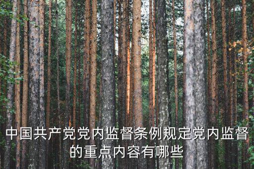加強(qiáng)黨內(nèi)監(jiān)督,中共中央全體會議每年聽取中央政治局工作報告