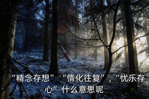“精念存想”“情化往復”,“憂樂存心”什么意思呢