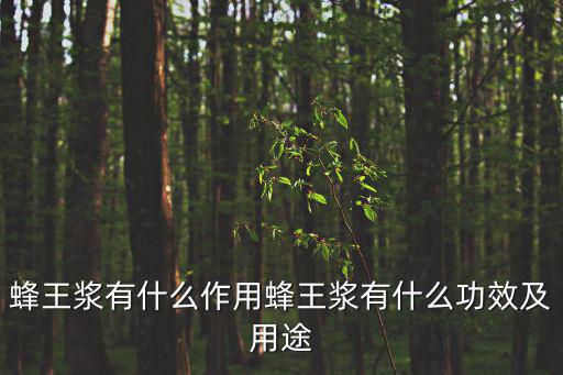 蜂王漿有什么功效,牛王漿的功效與作用