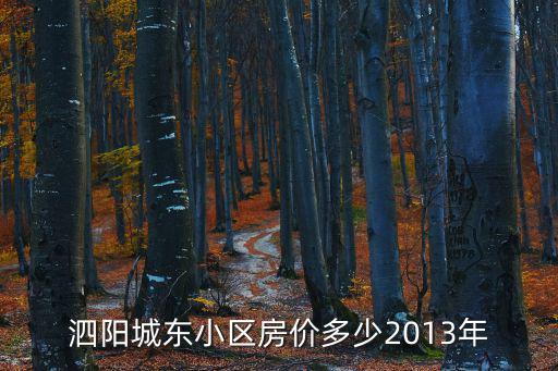泗陽(yáng)城東小區(qū)房?jī)r(jià)多少2013年