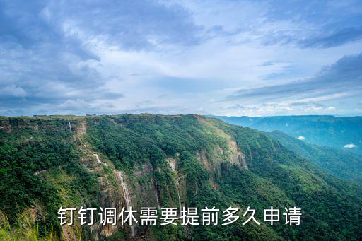 調休申請,人力部:釘釘調休需要提前多久申請