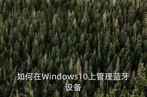 如何在Windows10上管理藍(lán)牙設(shè)備