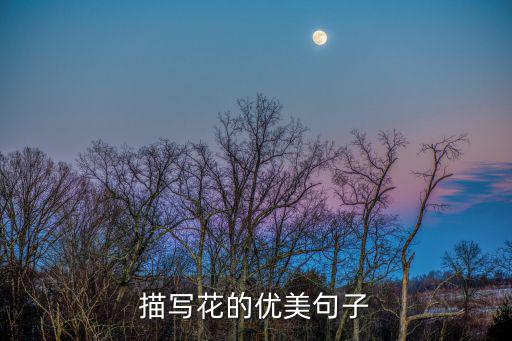 描寫花的優美句子