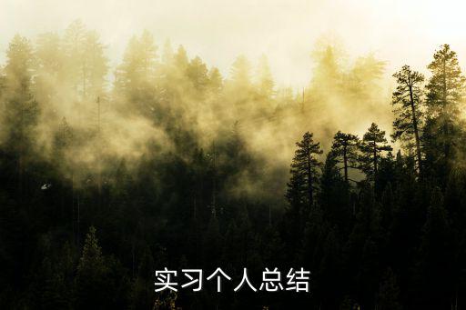 實(shí)習(xí)生自我總結(jié)，實(shí)習(xí)個(gè)人總結(jié)