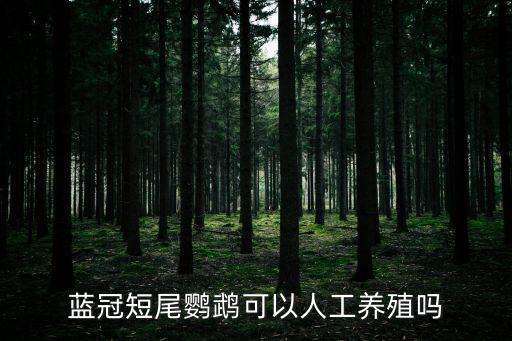 短尾鸚鵡,懸掛的鸚鵡品種介紹
