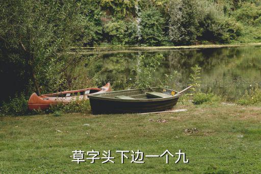 草字頭下邊一個九