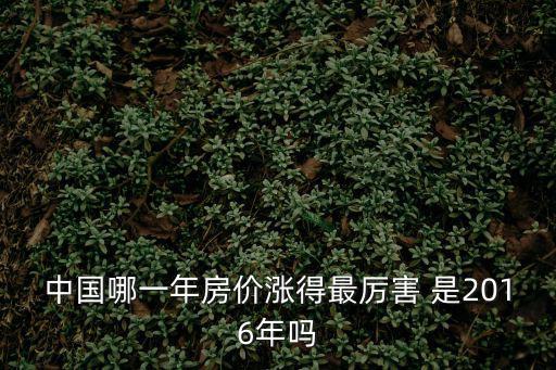 中國哪一年房價漲得最厲害 是2016年嗎