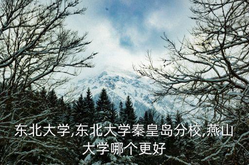 東北大學,東北大學秦皇島分校,燕山大學哪個更好