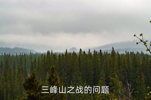 三峰山之戰,三峰山之戰四原因:統帥不明確導致戰斗力打折扣