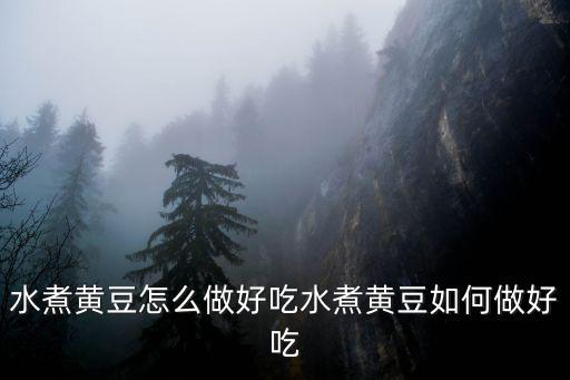 水煮黃豆怎么做好吃水煮黃豆如何做好吃