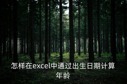 怎樣在excel中通過出生日期計算年齡