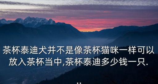 茶杯泰迪犬并不是像茶杯貓咪一樣可以放入茶杯當中,茶杯泰迪多少錢一只...