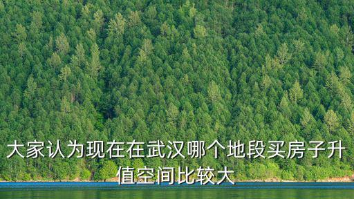 大家認為現(xiàn)在在武漢哪個地段買房子升值空間比較大