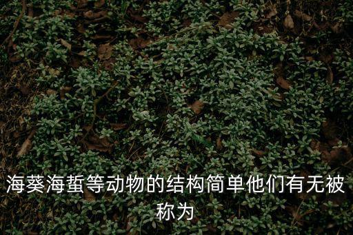 海葵海蜇等動物的結構簡單他們有無被稱為