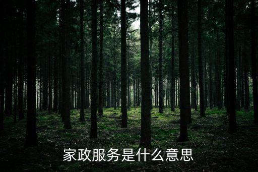家政服務是什么意思