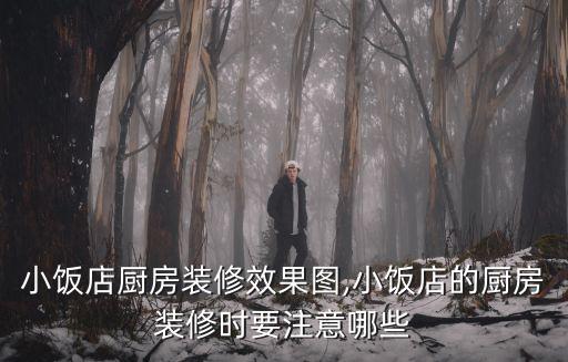 小飯店廚房裝修效果圖,小飯店的廚房裝修時要注意哪些