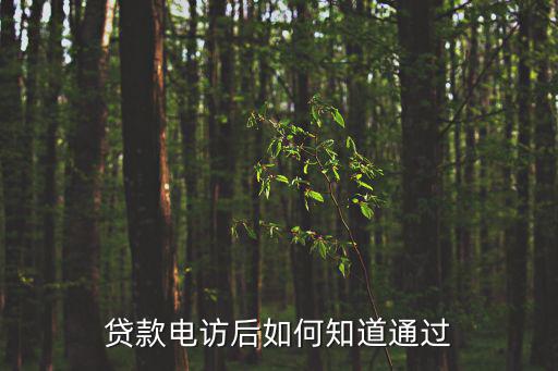 貸款電訪后如何知道通過