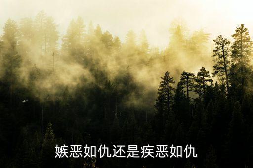 疾惡如仇,疾惡如仇:憎恨邪惡就同憎恨仇人一樣，