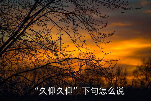 久仰,久仰久仰下句怎么說(shuō)?失敬失敬