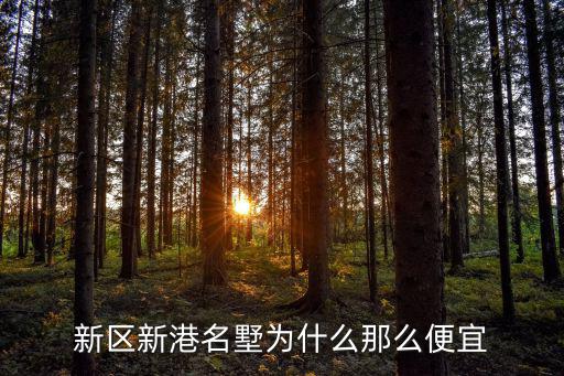 新區新港名墅為什么那么便宜