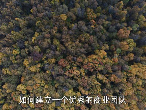 招商總監(jiān),超市招商方案1:要求招商必然要高大上的