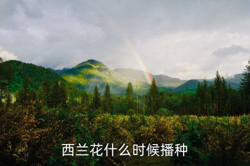 西蘭花什么時候播種