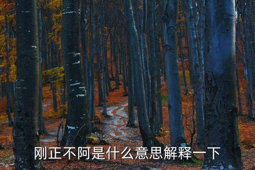 剛正不阿是什么意思解釋一下