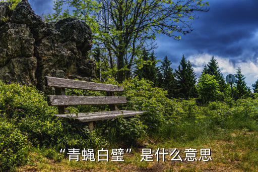 青蠅,蒼蠅點垂棘和陳子昂白壁遂成冤意思相近