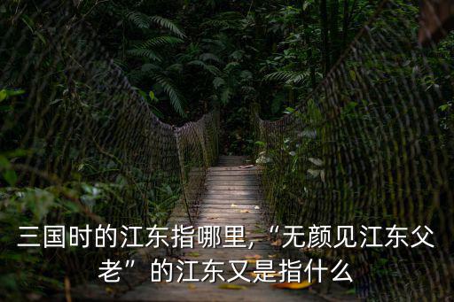 江東父老,無顏見江東父老的江東是什么?